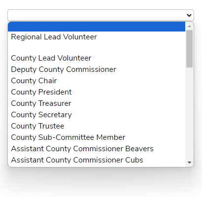 List of Scout Roles