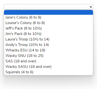 List of Sections in Group
