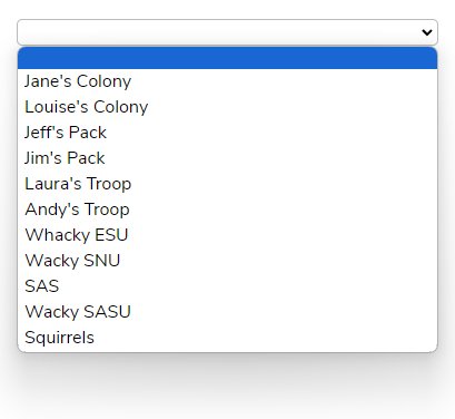 List of Sections in Group